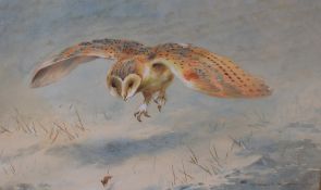 Hawley Morgan (19th/20th century) watercolours, a mouse fleeing an approaching barn owl within a