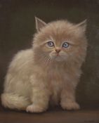 David N Johnson (local b.1952) oil on canvas, entitled 'Smokey' portrait of a Persian Kitten, signed