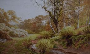 Sidney P Winder (British 1884-1966) watercolour, woodland stream, signed and dated 1917 lower