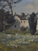A late 19th/early 20th century oil on board, two spring lambs grazing amongst daffodils with house