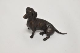 A cold painted bronze study of a seated Dachshund, marked to underside 'HS 85/250.