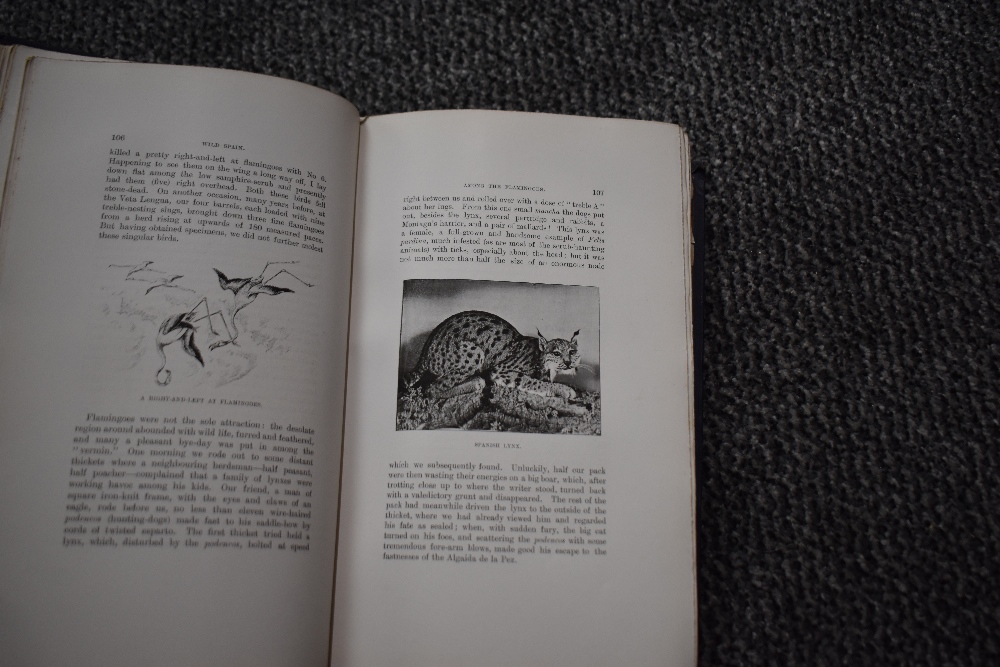 Travel/Sporting. Chapman, Abel & Buck, Walter J. - Wild Spain. London: Gurney and Jackson, 1893. - Image 5 of 5