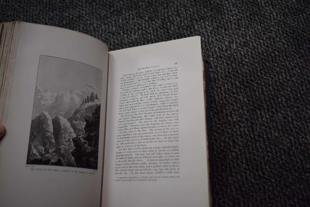 Travel/Sporting. Chapman, Abel & Buck, Walter J. - Wild Spain. London: Gurney and Jackson, 1893. - Image 4 of 5