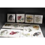 H.R Johnson Ltd 'Cristal' a set of 13 tropical fish design tiles