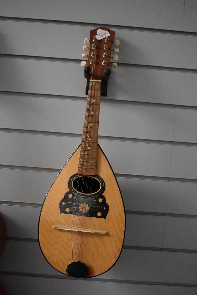 A traditional bowl back mandolin, with hard case