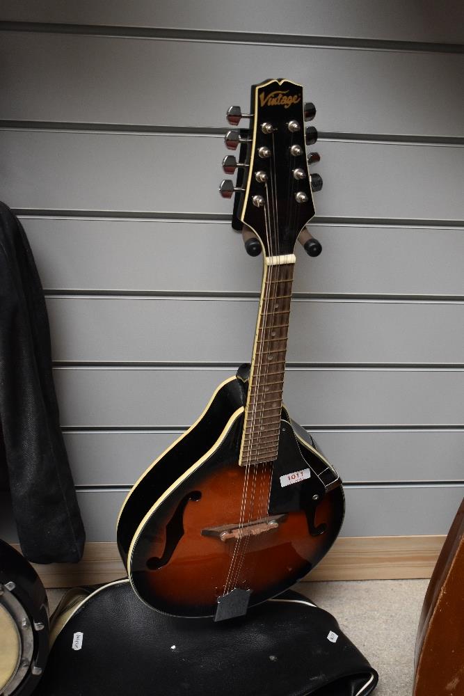 A Vintage mandolin in soft gig bag