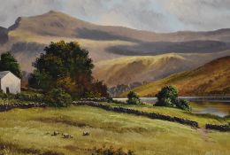 Local Interest* T. R Sanderson (British 20th century) oil on board, Lake District scene with sheep