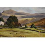 Local Interest* T. R Sanderson (British 20th century) oil on board, Lake District scene with sheep