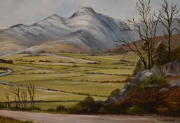 Local Interest* D.J Brown (British School, 20th Century), oil on board, 'The Langdales', signed