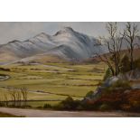 Local Interest* D.J Brown (British School, 20th Century), oil on board, 'The Langdales', signed