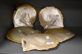 Five large pieces of king pearl shell.