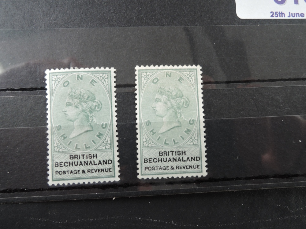 BRITISH BECHUANALAND 1888 1 SHILLING GREEN & BLACK MINT PAIR Card with mounted mint pair of this