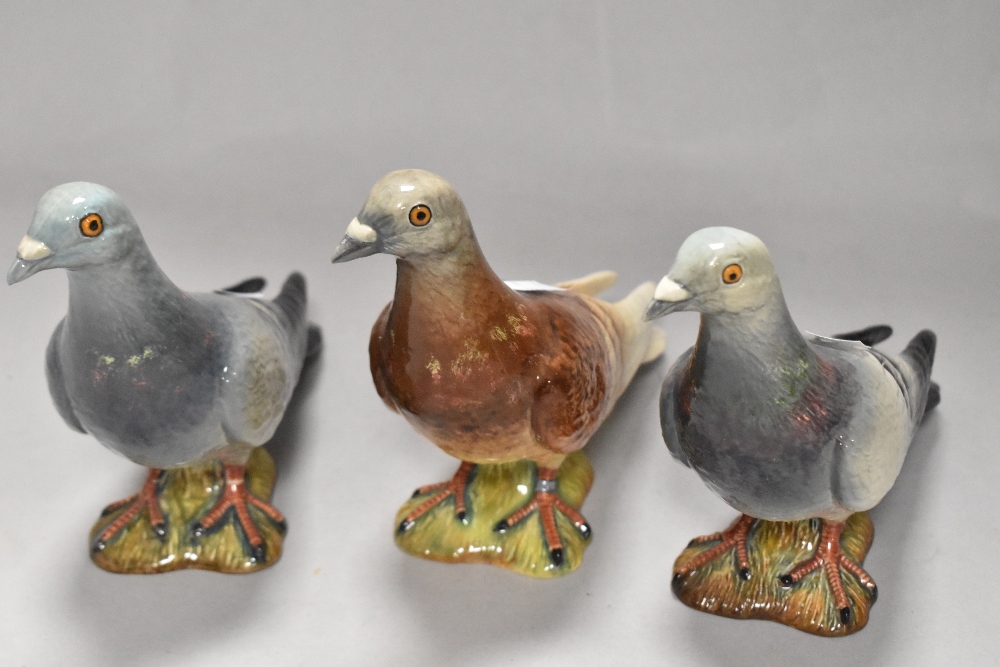 Three Beswick Pottery Pigeon studies, 1383 blue (1st and 2nd editions) and red (1st edition).