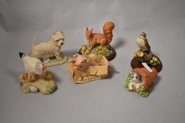 A group of animal studies, including Border Fine Arts Studies, including red squirrel, First outing,