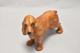 A Cocker Spaniel study, in brown gloss finish, unmarked.