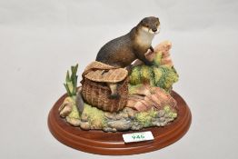 A Border Fine Arts style study, otter with fishing creel, unmarked.
