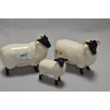 Two Beswick Pottery Black Faced Sheep, model number 1765 designed by Mr Garbet, sold together with a