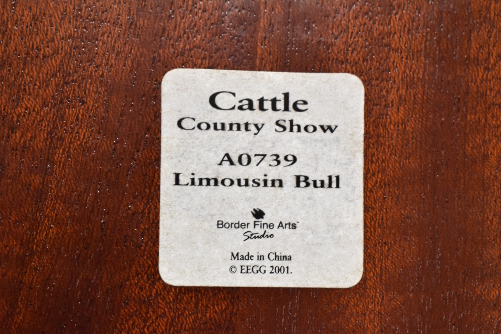 A Border Fine Arts 'Cattle County Show' Limousin Bull study c2001, model number A0739, on moulded - Image 2 of 2