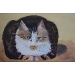 Sue Zaccarini (British 20th Century), pastel, 'The Mouser', signed to the lower right, framed,