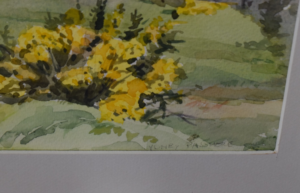 Local Interest* Sydney Passmore (British 20th century) watercolour, Whitbarrow from Rocky Common- - Image 3 of 4