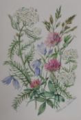 Patience Arnold (1901-1992), watercolour, eight botanical studies, all signed, framed, mounted,