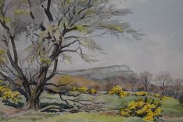 Local Interest* Sydney Passmore (British 20th century) watercolour, Whitbarrow from Rocky Common-