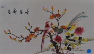 20th Century Chinese School, two silk embroideries depicting exotic and brightly coloured birds