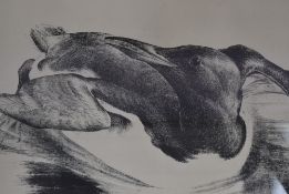 Unknown Artist, 20th Century, four etchings of bird species, signed 'JB' to the corner, framed,