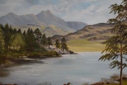 D.J Brown (20th Century British), oil on board, Blea Tarn and Langdales, signed to the lower
