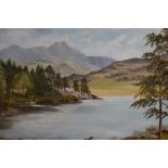 D.J Brown (20th Century British), oil on board, Blea Tarn and Langdales, signed to the lower