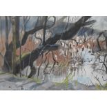 Fiona Clucas SWLA (20th Century, British), mixed media, 'April Sun, Leighton Moss', signed to the