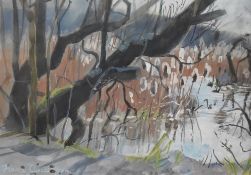 Fiona Clucas SWLA (20th Century, British), mixed media, 'April Sun, Leighton Moss', signed to the