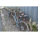 A selection of vintage bicycles