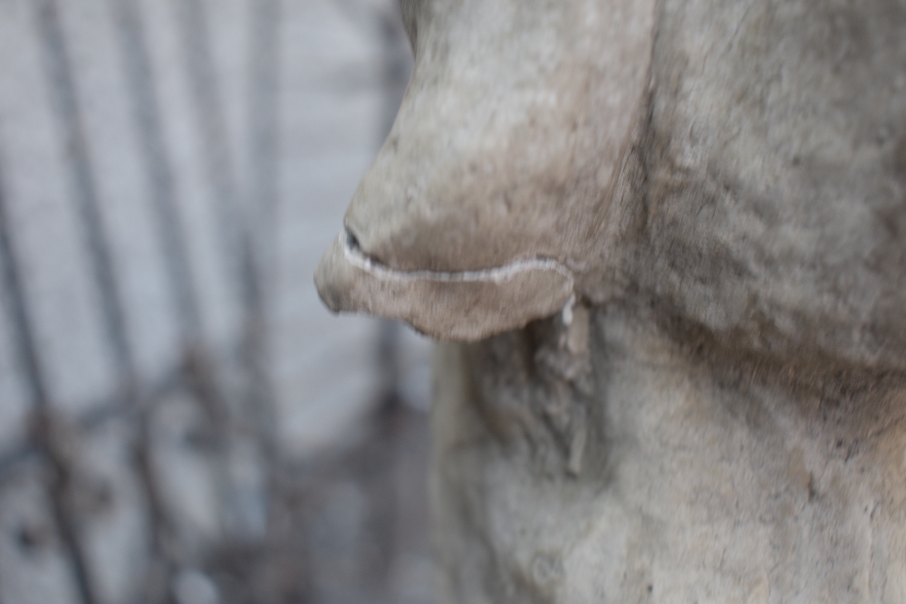 A pair of cast composite garden ornaments, formed as seated Greyhounds, one with damage to one ear - Image 4 of 5