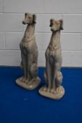 A pair of cast composite garden ornaments, formed as seated Greyhounds, one with damage to one ear