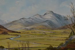 Local Interest* D.J Brown (British School, 20th Century), oil on board, 'The Langdales', signed