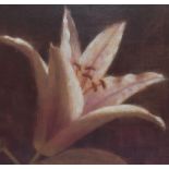 Artist Unknown (Contemporary), print on canvas, Lilly flower head against dark backdrop,