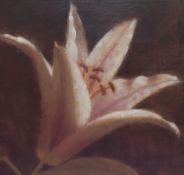 Artist Unknown (Contemporary), print on canvas, Lilly flower head against dark backdrop,