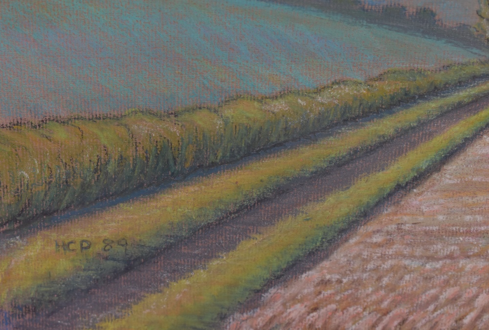 HCP (20th Century), pastel, two countryside landscapes, depicting a woodland path and a harvested - Image 5 of 6