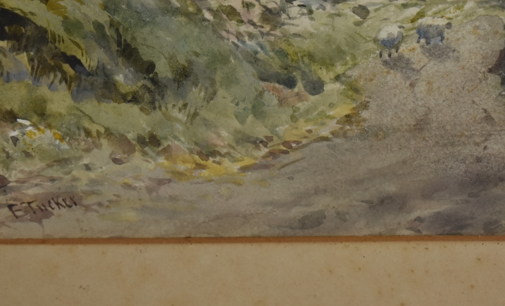 *Local Interest - E.Tucker (19th/20th Century, British), watercolour/gouache, Rydal Water, a tree - Image 3 of 4