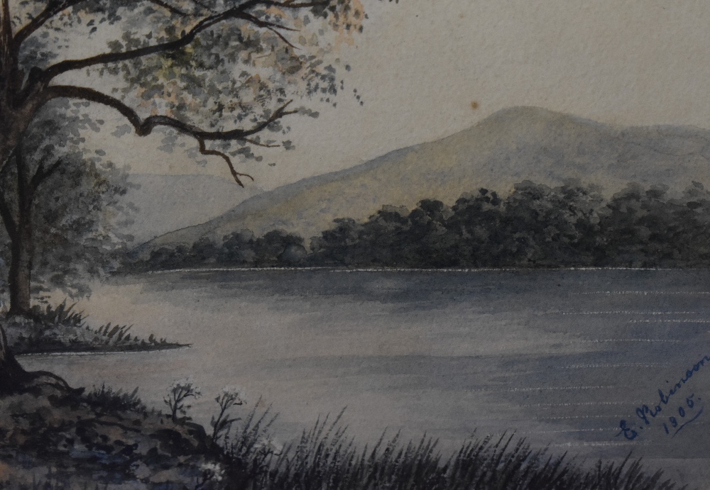 E. Robinson (19th/20th Century), watercolour, Lake District scene, signed and dated 1905 lower left, - Image 3 of 4