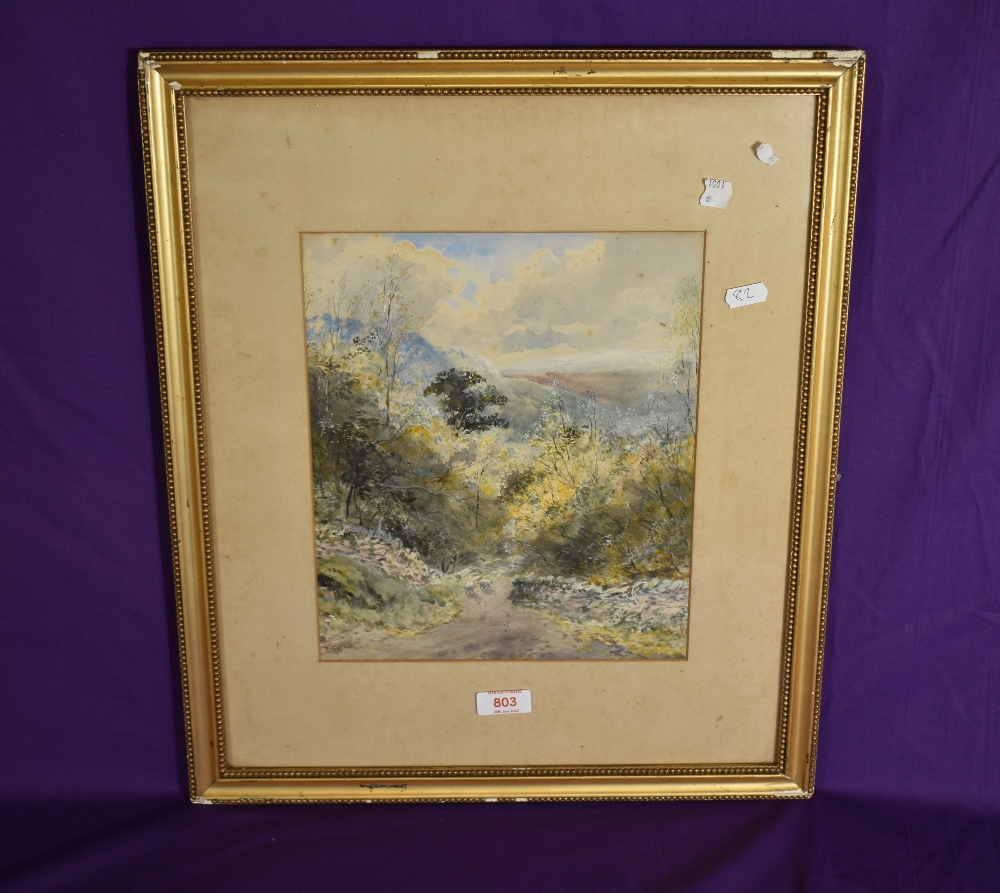 *Local Interest - E.Tucker (19th/20th Century, British), watercolour/gouache, Rydal Water, a tree - Image 2 of 4