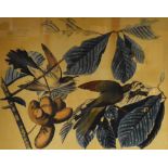 After John James Audubon M.W.S (French-American, 1785-1851), colour print, Yellow Billed Cuckoo,