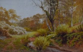 Sidney P Winder (British 1884-1966) watercolour, woodland stream, signed and dated 1917 lower