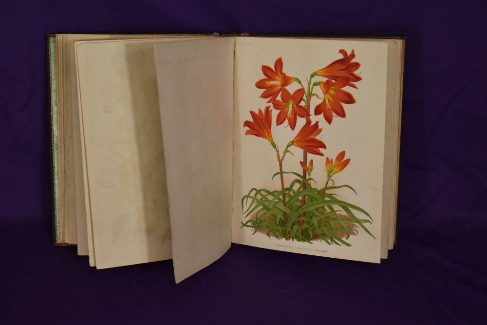 A Victorian (1878) 'Garden Flowers' botany album, the leather cover with gilt trim, and containing - Image 3 of 6