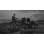 After Rosa Bonheur (1822-1899, French), monochrome etching, 'Highland Ponies', framed and under