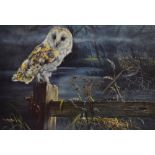 After Dorothea Buxton-Hyde (20th Century, British), coloured lithograph, Barn Owl, signed in