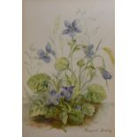 Margaret Dandy (20th Century, British), watercolours, A group of 17 botanical illustrations, to