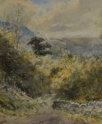 *Local Interest - E.Tucker (19th/20th Century, British), watercolour/gouache, Rydal Water, a tree