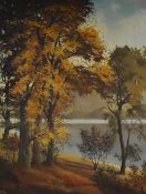 David Walsey (British 20th century)oil on canvas, autumnal woodland and river, signed, 90 x 70cm,